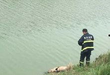 南京秦淮河最新爆料,最新爆料揭示千年古河新风采